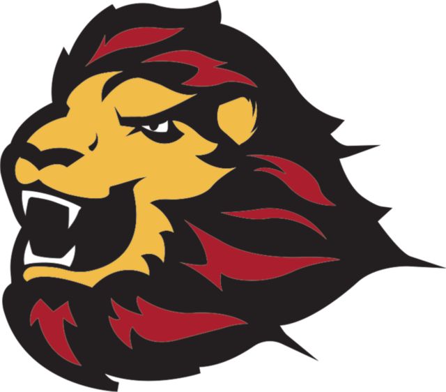 St. Thomas Small Decal UST Primary Mark - ONLINE ONLY
