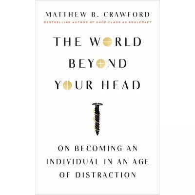 World Beyond Your Head