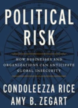 Political Risk